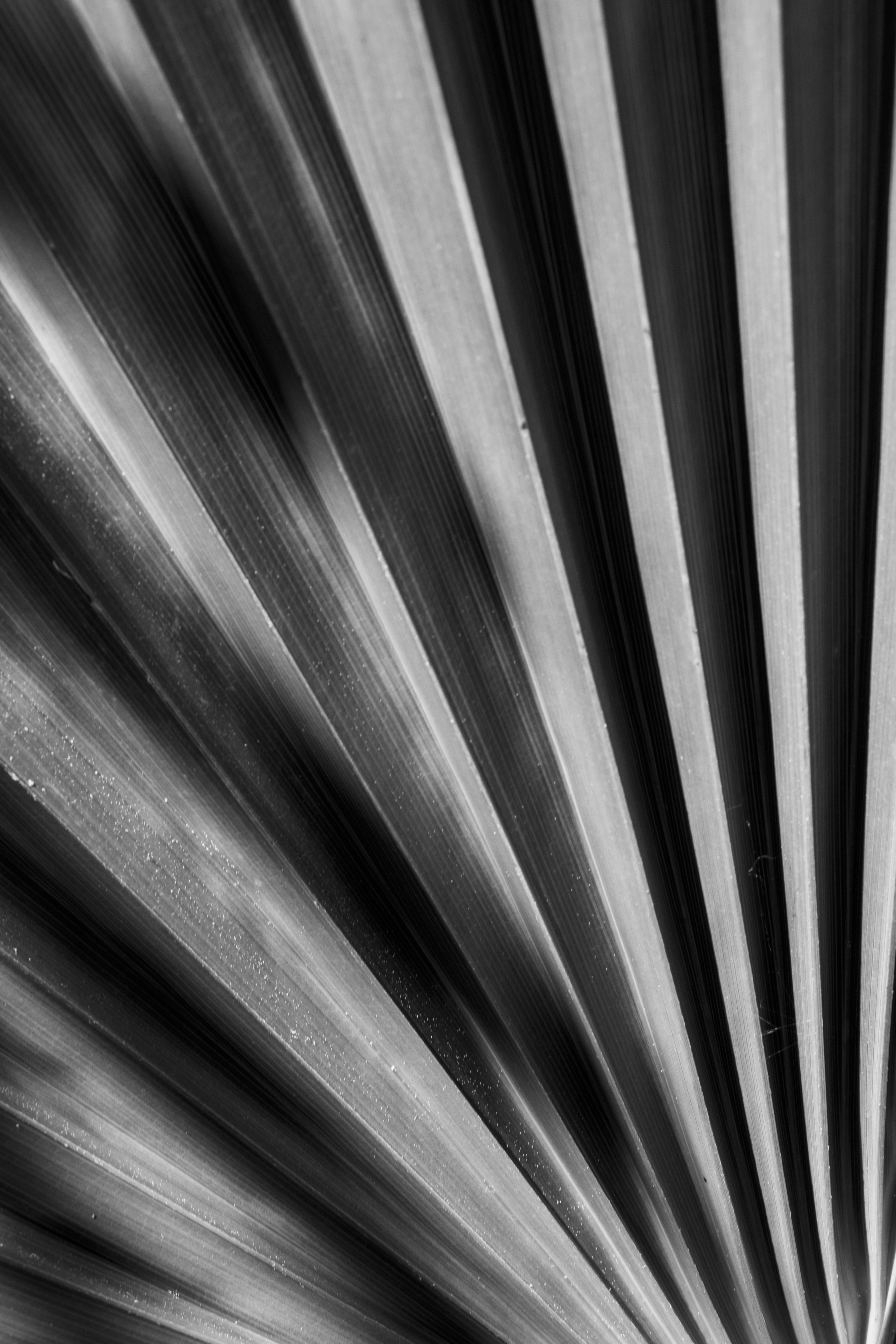 Entre gris clair et gris foncé 2